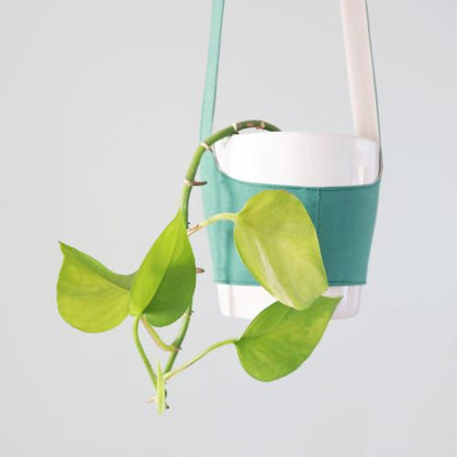 The Pot Plant Sling